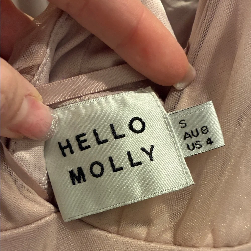 Hello Molly “Kiss the Girl” blush tulle midi - Picture 12 of 12